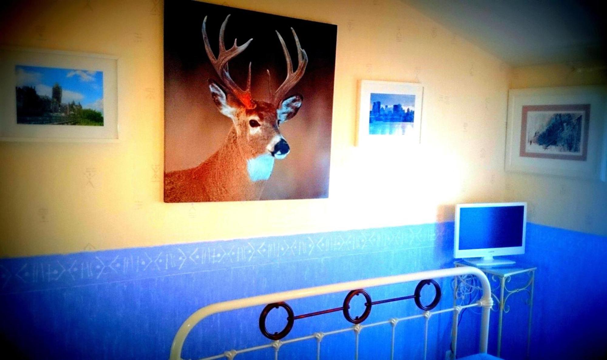 L'Hermine Occitane B&B Gratens Chambre photo