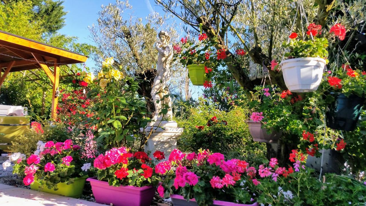L'Hermine Occitane B&B Gratens Extérieur photo