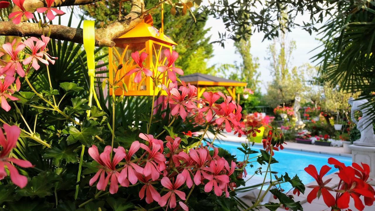 L'Hermine Occitane B&B Gratens Extérieur photo